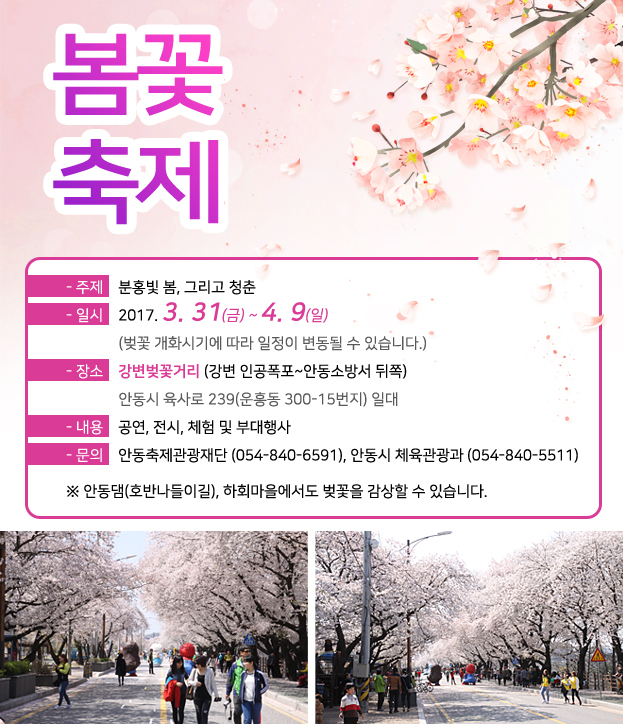 안동봄꽃축제